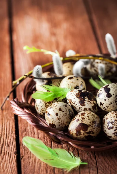 Bıldırcın yumurta