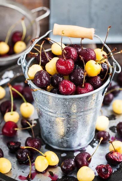 Świeży mokry żółty i red cherry — Zdjęcie stockowe