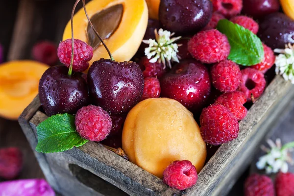 Frutas e frutos frescos de verão maduros — Fotografia de Stock