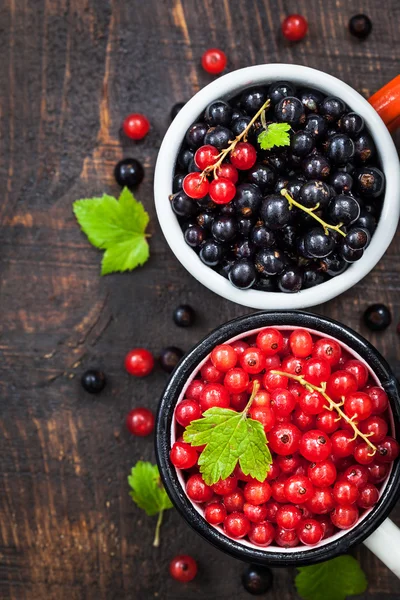 Fresh delicious organic red and black currants — Stock Photo, Image