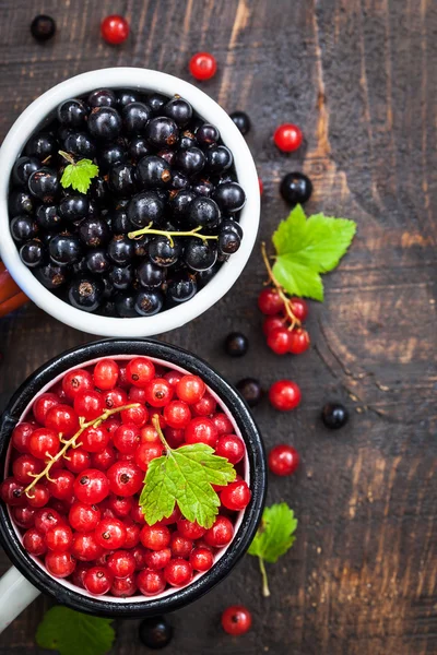 Fresh delicious organic red and black currants — Stock Photo, Image