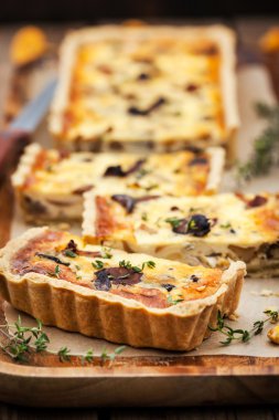 Cantharellus cibarius mantar, peynir ve kekik kiş