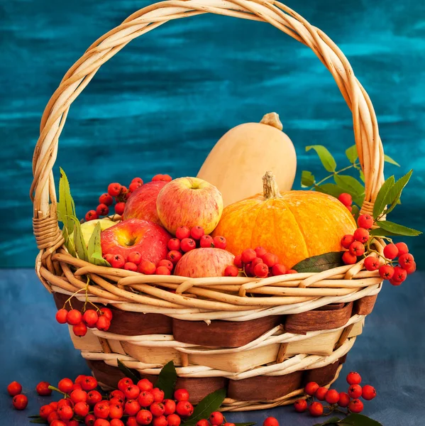 Autumnal still life with pumpkins, apples and rowanberry — Stock Photo, Image