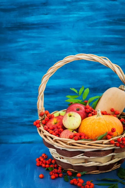 Autumnal still life with pumpkins, apples and rowanberry — Stock Photo, Image