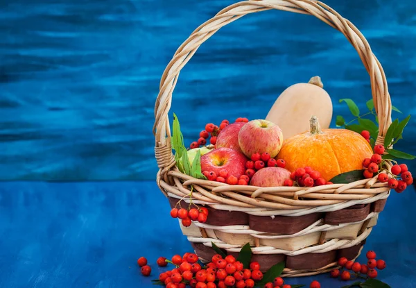 Autumnal still life with pumpkins, apples and rowanberry — Stock Photo, Image