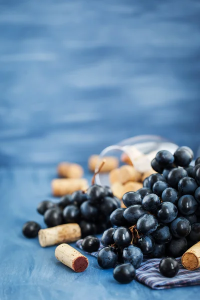 Ramo de uvas roxas e rolhas de vinho em cinza — Fotografia de Stock