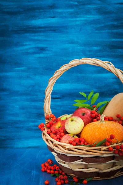 Autumnal still life with pumpkins, apples and rowanberry — Stock Photo, Image