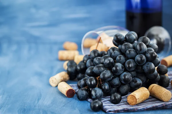 Ramo de uvas roxas e rolhas de vinho em cinza — Fotografia de Stock