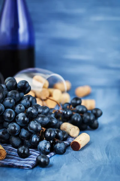 Ramo de uvas roxas e rolhas de vinho em cinza — Fotografia de Stock