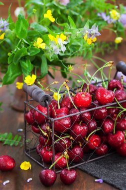 Tahta arka planda metal sepetin içinde taze kirazlar.