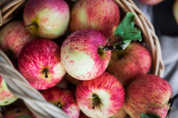 Manzanas Rojas Frescas Maduras Otoño Canasta Sobre Fondo Rústico — Foto de Stock