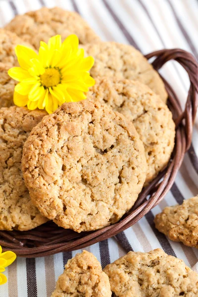 Biscuits maison au beurre d'arachide à la farine d'avoine — Photo