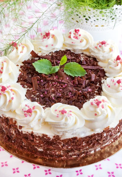 Hausgemachte Schwarzwälder Kirschtorte — Stockfoto