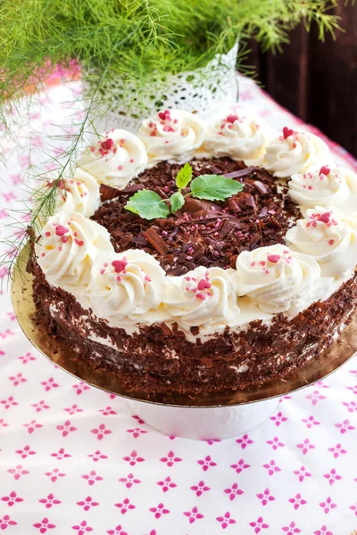 Homemade Black Forest cake — Stock Photo, Image