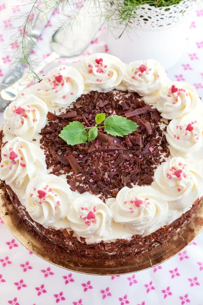 Hausgemachte Schwarzwälder Kirschtorte — Stockfoto