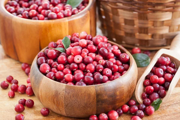 Fresh red cranberry — Stock Photo, Image