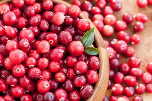 Fresh red cranberry — Stock Photo, Image
