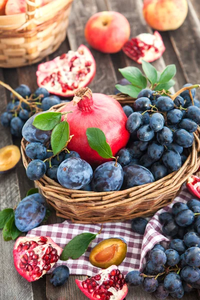 Fresh autumn fruits — Stock Photo, Image