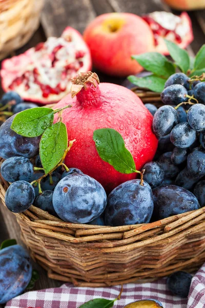 Fresh autumn fruits — Stock Photo, Image