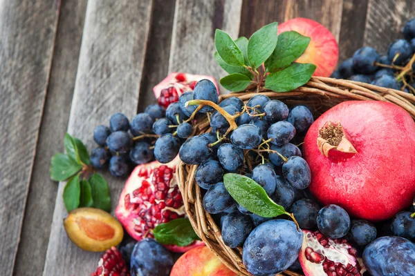 Frutas frescas de otoño — Foto de Stock