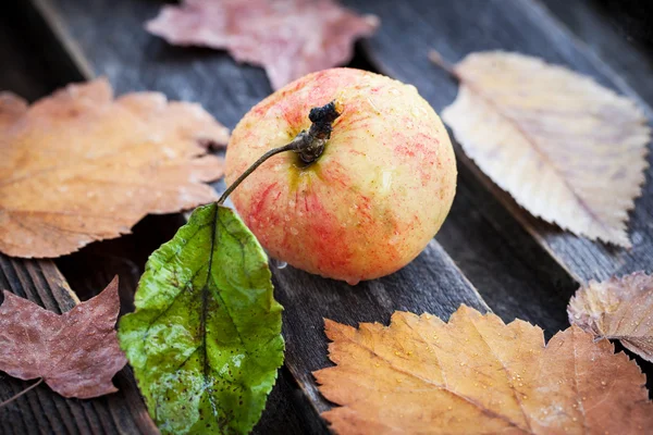 Яблоко на деревянном столе — стоковое фото