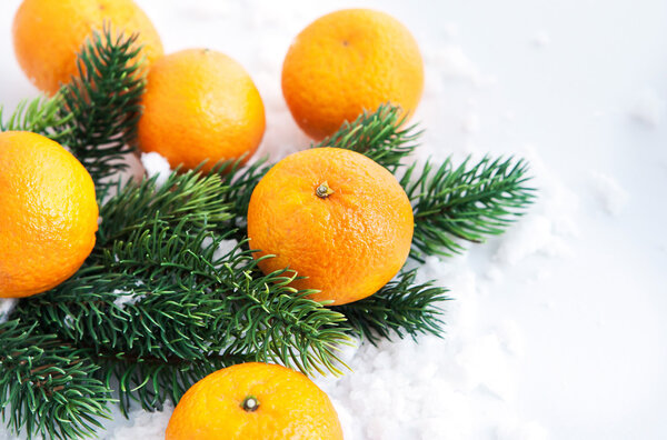 Fresh tangerine with  spruce branch 