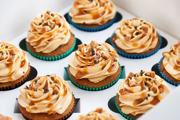 Coffret cupcakes caramel — Photo