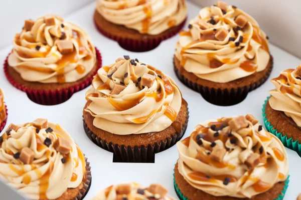 Coffret cupcakes caramel — Photo