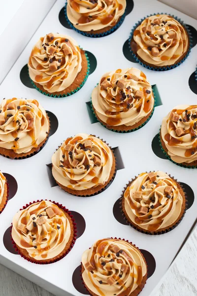 Caja de cupcakes de caramelo conjunto — Foto de Stock