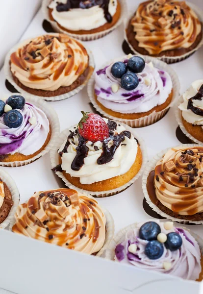 Conjunto de diferentes cupcakes en una caja — Foto de Stock