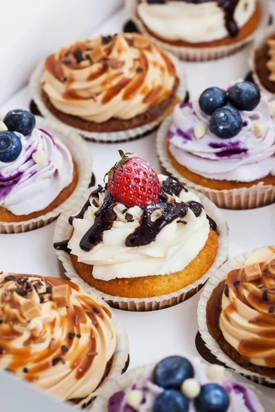 Conjunto de diferentes cupcakes en una caja — Foto de Stock