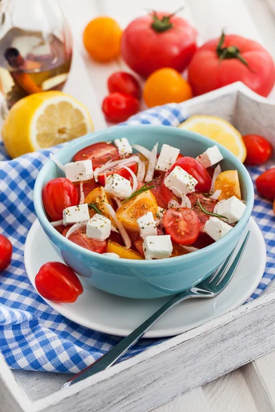 Verse tomaat, ui en feta salade — Stockfoto