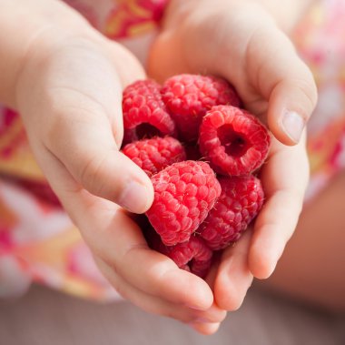 Çocuğun tutarak taze kırmızı ahududu eller