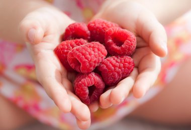 Çocuğun tutarak taze kırmızı ahududu eller