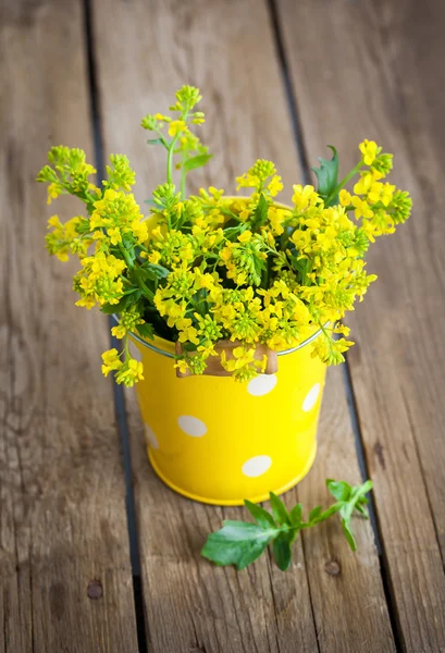 Beautiful summer yellow flowers — Stock Photo, Image