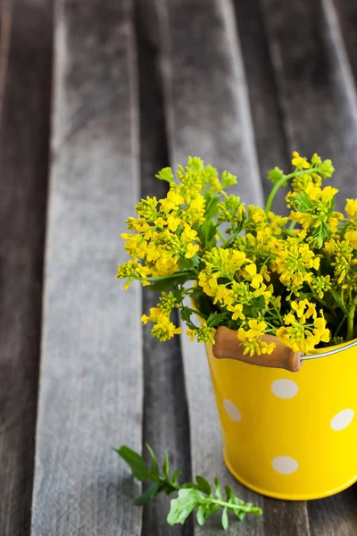 Beautiful summer yellow flowers — Stock Photo, Image