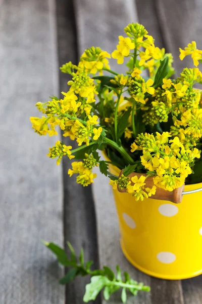 Beautiful summer yellow flowers — Stock Photo, Image