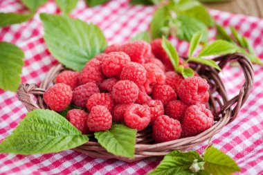  Olgun ahududu yaprağı