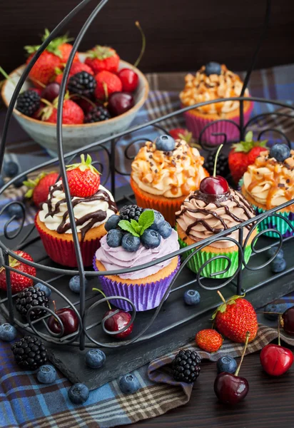 Set von verschiedenen leckeren Cupcakes — Stockfoto