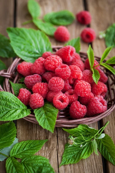 Ripe raspberry with leaf — Stock Photo, Image