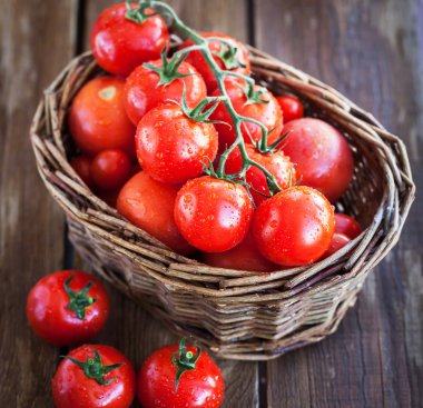 Taze olgun domatesler