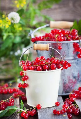 Bir demet taze somun 