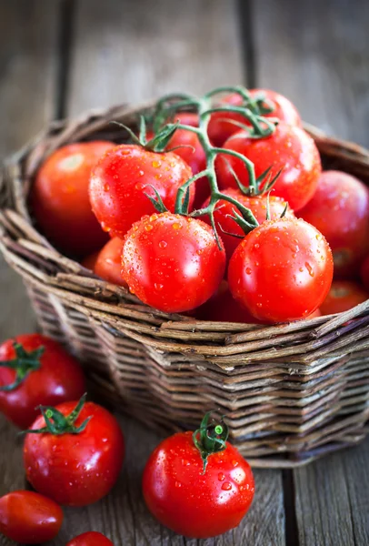 Fresh ripe tomatoes — Stock Photo, Image