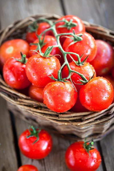 Fresh ripe tomatoes — Stock Photo, Image