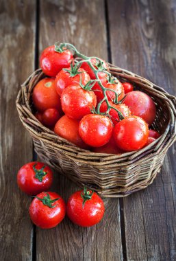 Taze olgun domatesler