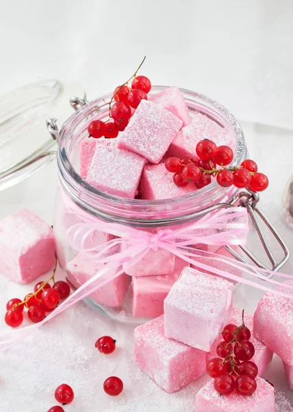 Homemade red currant marshmallows — Stock Photo, Image