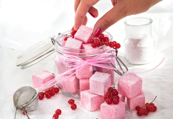 Hausgemachte Marshmallows aus roten Johannisbeeren — Stockfoto