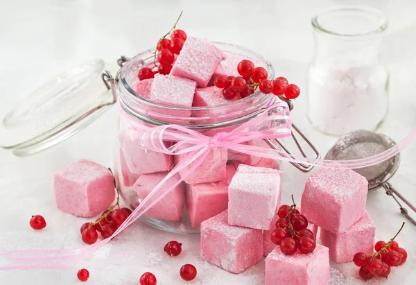 Homemade red currant marshmallows — Stock Photo, Image