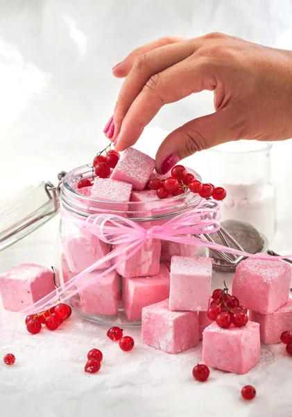 Homemade red currant marshmallows — Stock Photo, Image