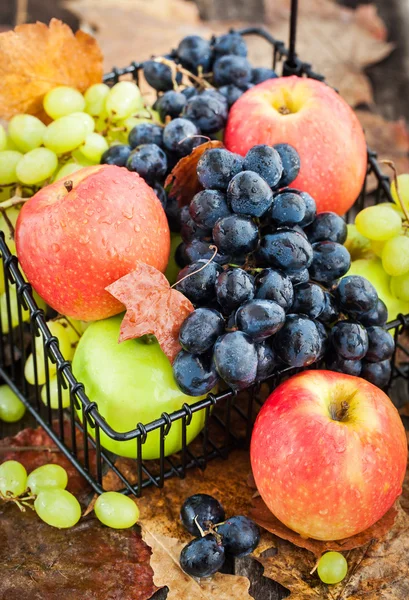 Manzanas y uvas frescas maduras de otoño — Foto de Stock